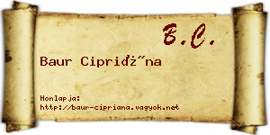 Baur Cipriána névjegykártya